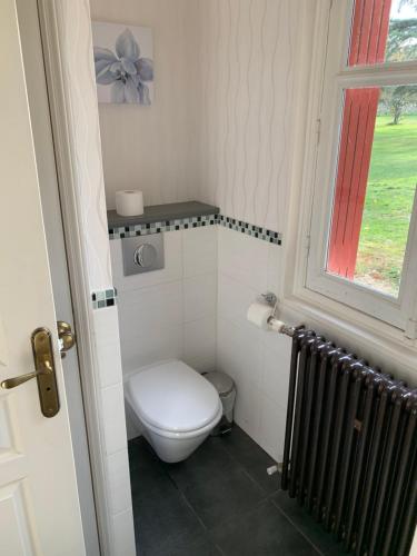 a small bathroom with a toilet and a window at Le Pontet in Miramont-de-Guyenne