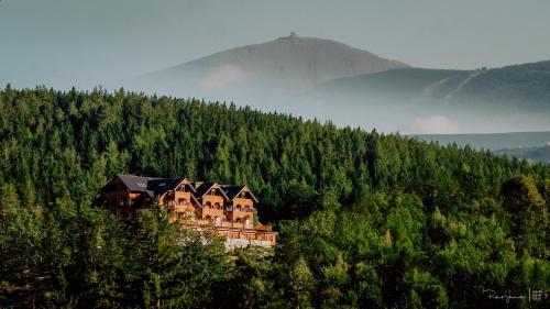 uma casa no topo de uma colina com árvores em Hotel Seidorf w Sosnówce koło Karpacza em Sosnówka