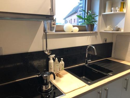 a kitchen counter with a sink and a sink at Apparthotel Perreveld in Brakel