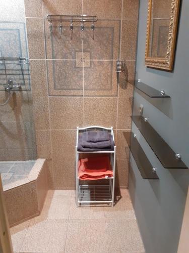 a shower stall with a towel rack in a bathroom at Rakvere studio in Narva