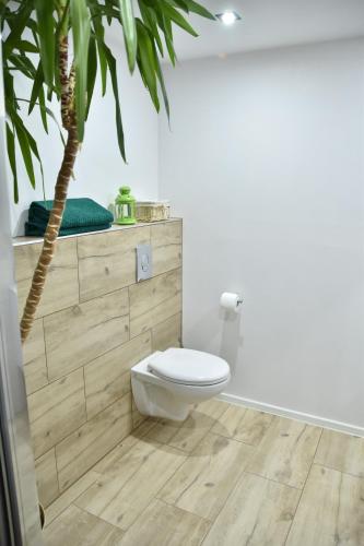 a bathroom with a toilet and a palm tree at Apartament Centrum in Polanica-Zdrój