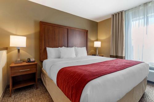 Postelja oz. postelje v sobi nastanitve Comfort Inn & Suites Russellville I-40