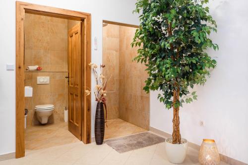 KrasにあるVilla KAMENICAのトイレと鉢植えの木が備わるバスルーム