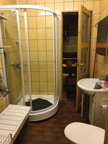 een badkamer met een douche en een wastafel bij Kaaro 2 Cottage in Hillosensalmi