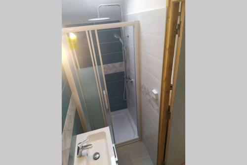 a bathroom with a shower and a sink at chalet avec jardin proche du Mont Saint Michel in Pontorson