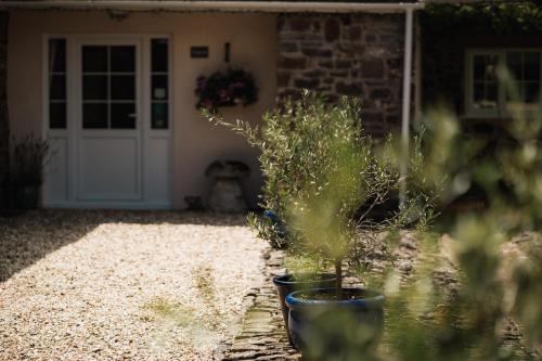 Fotografie z fotogalerie ubytování Stoodleigh Court Coach House v destinaci Tiverton