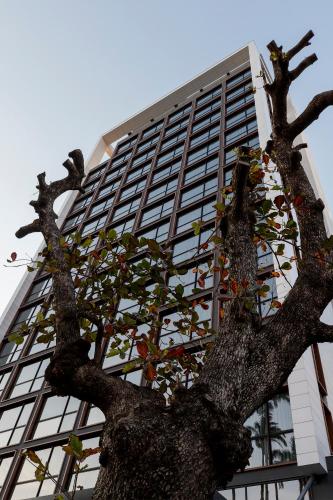 a tree in front of a tall building at LK Design Hotel Florianópolis in Florianópolis