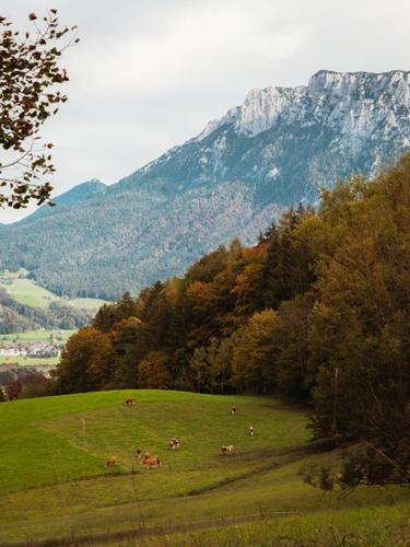 Das Luegstein – Photos 4