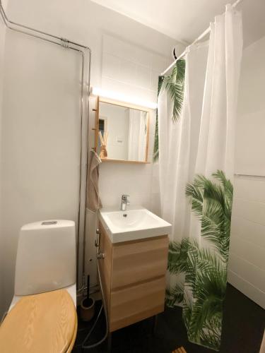 a bathroom with a toilet and a sink and a shower at Happyhosts Beach House studio in Hanko
