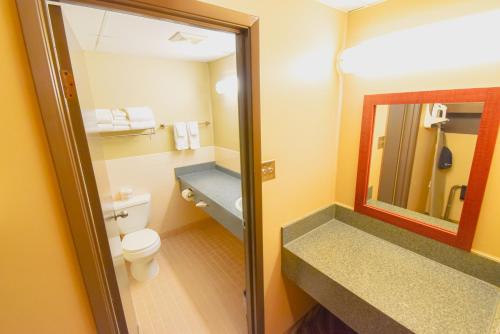 a bathroom with a toilet and a sink and a mirror at Canad Inns Destination Centre Garden City in Winnipeg
