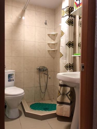 エッセントゥキにあるКвартираのバスルーム(シャワー、トイレ、洗面台付)