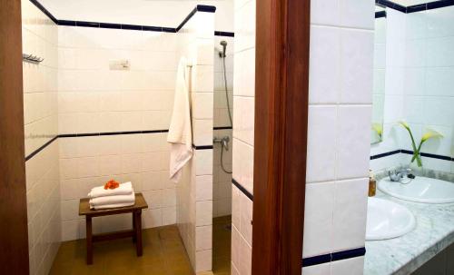 a bathroom with a sink and a toilet and a shower at Albergue de Bolico in Buenavista del Norte