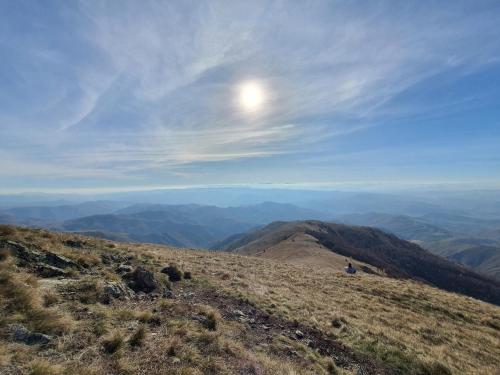 a person sitting on the top of a mountain at Vikendica Vila Despotovic in Kopaonik