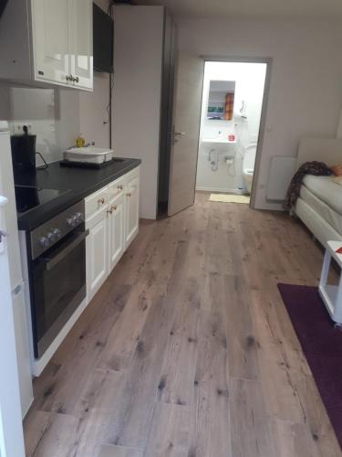 a kitchen with a wooden floor in a room at Appartement mit Terrasse in Metterzimmern