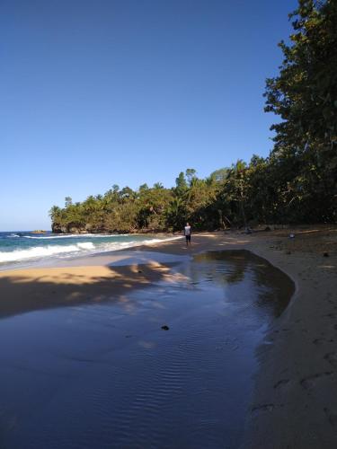 a person walking on a beach near the ocean at La Luciernaga Big Creek in Bocas del Toro