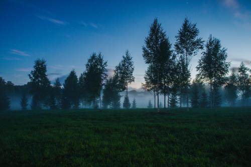 a group of trees in a field at dusk at Glamping DiDille in Drusti