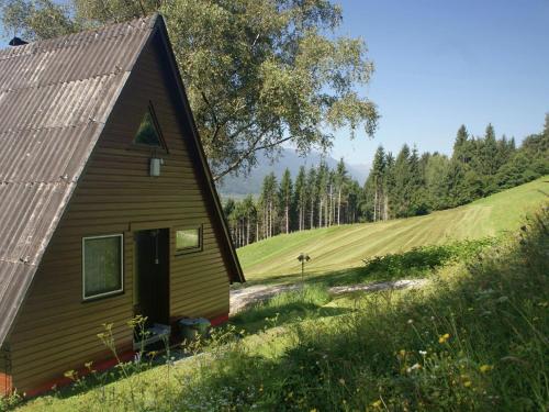 JenigにあるHoliday home in Jenig Carinthia with poolの野原の横の山小屋