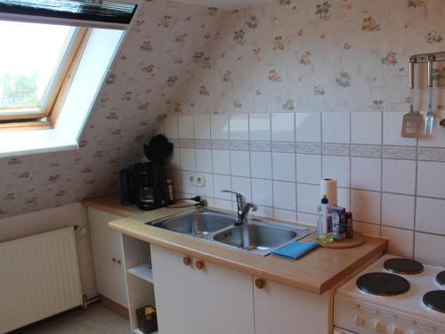 a small kitchen with a sink and a stove at Lovely Apartment in Beckerwitz near Terrace in Beckerwitz