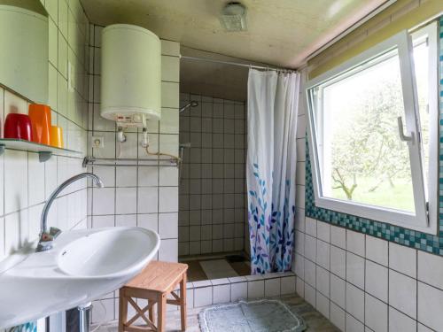 a bathroom with a sink and a shower with a window at Family-Friendly Home with Garden in Klein Pravtshagen