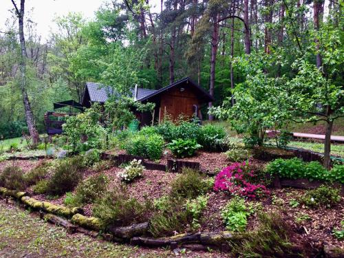 einen Garten vor einer Hütte im Wald in der Unterkunft Cosy chalet with private sauna in Bousseviller in Bousseviller