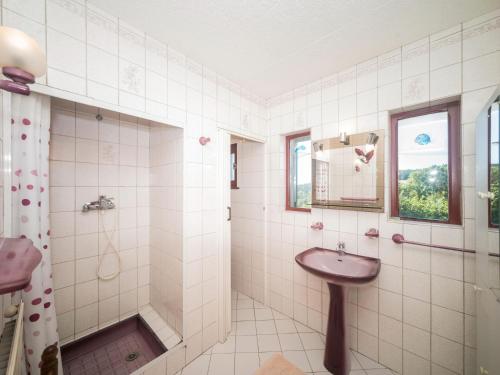 a bathroom with a sink and a shower at Quaint Holiday Home In Girmont Val d Ajol with Terrace in Girmont-Val-dʼAjol