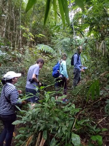 a group of people walking in the forest at Thong Family Homestay Chiangdao in Chiang Dao