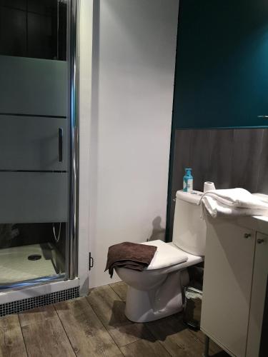 une salle de bain avec toilettes et douche dans l'établissement La Compagnie des 5 Mondes, à Saint-Nazaire