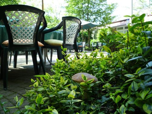 two chairs and a table and some green plants at Waldhotel Surwold in Surwold
