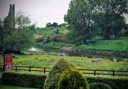 a group of animals grazing in a field next to a river at Highfield House Guesthouse in Trim