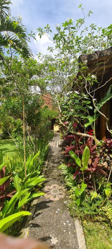 un sentiero attraverso un giardino con alberi e piante di Rumah Sungai Villa ad Ubud