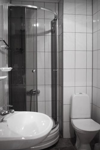 a bathroom with a shower and a toilet and a sink at Tourist Chernivtsi in Chernivtsi