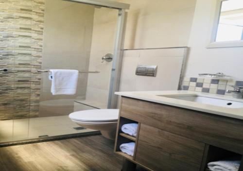 ein Bad mit einem Waschbecken, einem WC und einer Dusche in der Unterkunft Regal Inn North Beach in Durban