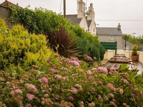 Llanfachraeth的住宿－Holland Hotel，一座种有粉红色花卉和灌木的花园