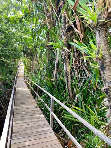a wooden path through a forest with trees and plants at Pousada Capitù in Imbassai