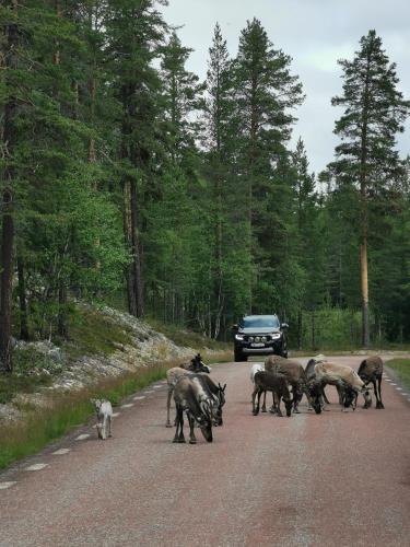 Gallery image of Fjällstuga 5B i Foskros m kamin in Idre