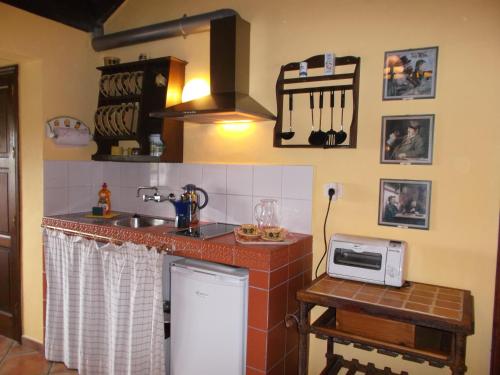 a kitchen with a stove top oven and a microwave at Apartamentos Monasterio de San Antonio in Icod de los Vinos