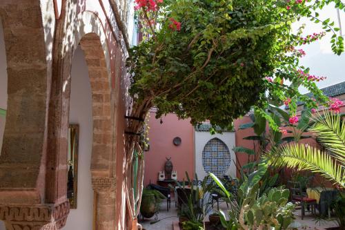 een binnenplaats met een bos planten in een gebouw bij Dar Dayana in Essaouira