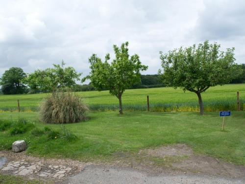 two trees in a field with a sign in the grass at Woodview B&B Colchester in Birch