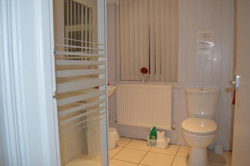 a bathroom with a toilet and a shower at Ayrton House Holiday Apartments in Blackpool