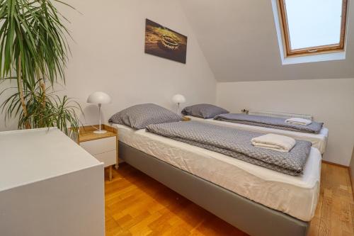 een slaapkamer met 2 bedden en een plant bij CinemApartman Eger in Eger