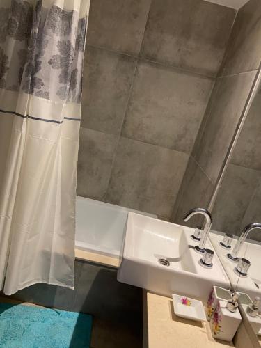 La salle de bains est pourvue d'un lavabo et d'un rideau de douche. dans l'établissement Family Apart, à San Miguel de Tucumán