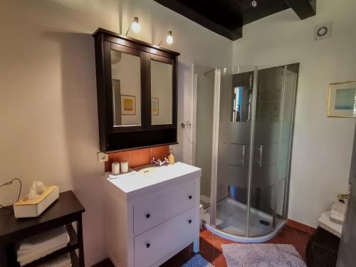 新錫德勒湖畔普巴赫的住宿－多麗斯旅館，带淋浴、盥洗盆和镜子的浴室