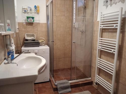 Mözsi Apartman Tolnaにあるバスルーム