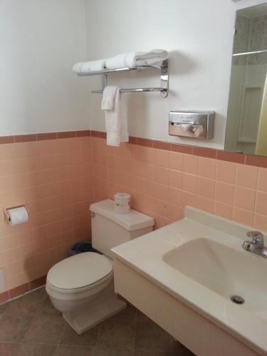 Bilik mandi di Raine Motel