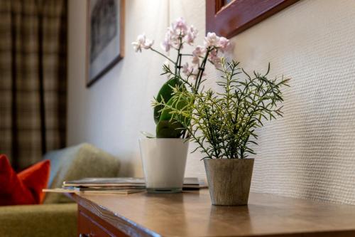 two potted plants sitting on top of a wooden table at Birkebeineren Hotel & Apartments in Lillehammer