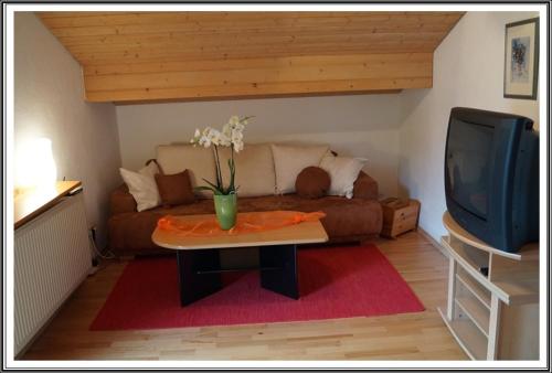 a living room with a couch and a table and a tv at Ferienwohnung Altendorfer in Nußdorf am Inn