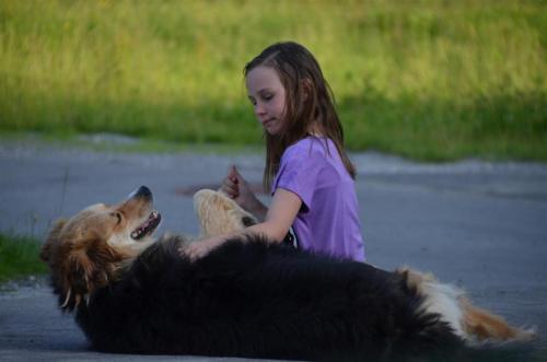 a little girl playing with a dog on the ground at Adlerhof in Samerberg