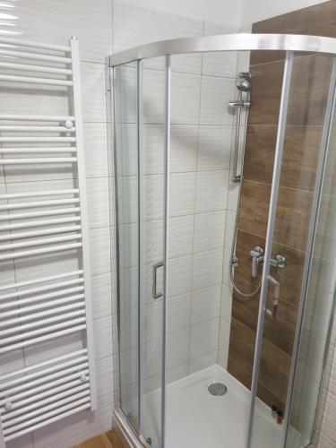 y baño con ducha y puerta de cristal. en Vila Ema-kuća za odmor en Ludbreg