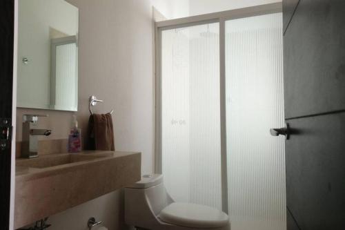 a bathroom with a toilet and a sink and a shower at Any Mood! casa de descanso con Jacuzzi climatizado in Oaxtepec