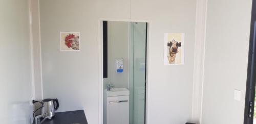 a bathroom with a mirror and a sink at Waitomo Homestead Cabins in Waitomo Caves